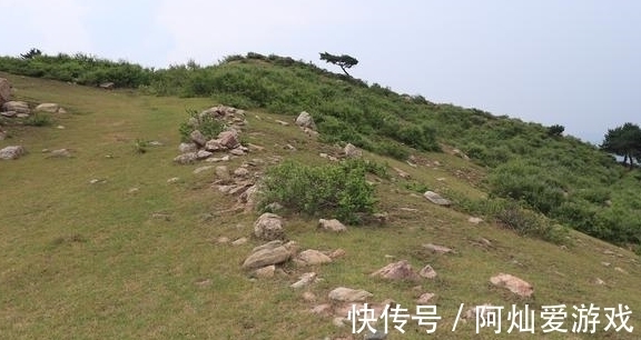 野兽|有一种魔幻的山，古齐长城经山顶，有密林中有野兽