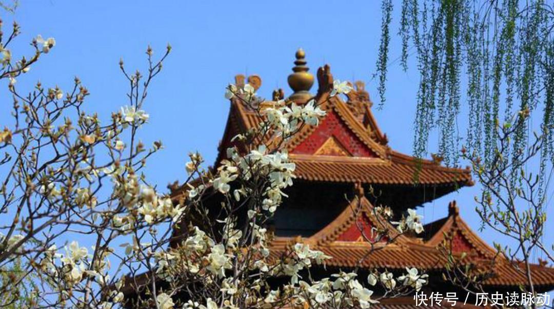 清朝大诗人袁枚最美的一首诗,只有短短20个字,写出了最美的春天