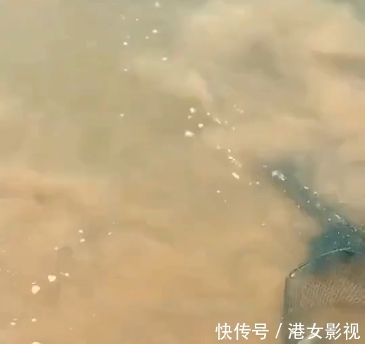水老虎|江苏一大爷钓上“水老虎”，放鱼护却跑了，网友：估计半年睡不好