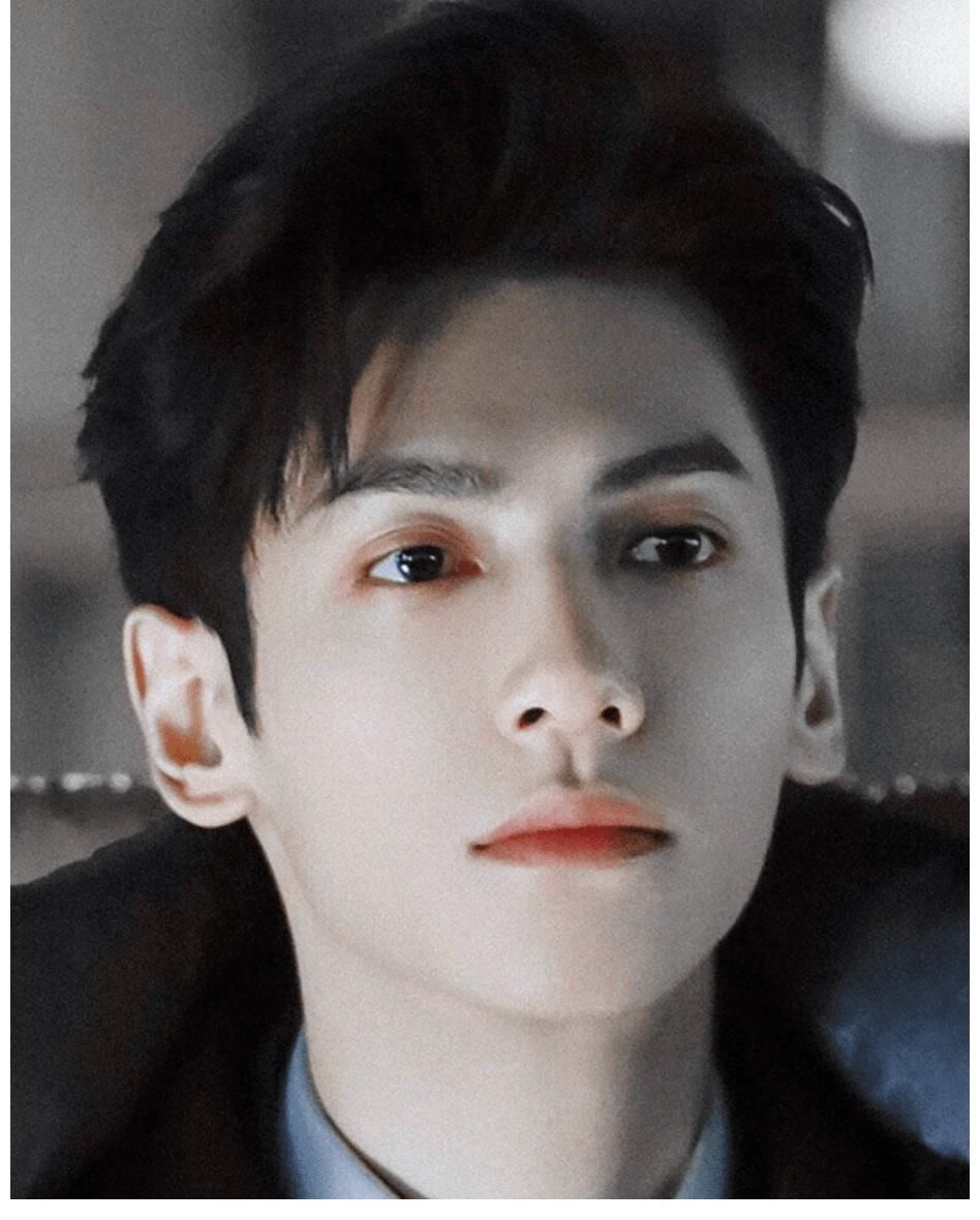 言情剧|白鹿后援会集体下班?疑似不满二搭罗云熙,捕风捉影成大戏?