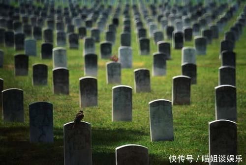 拼多多|又一“暴利世界”诞生!当殡葬遇上了电商,这个行业成了什么样?