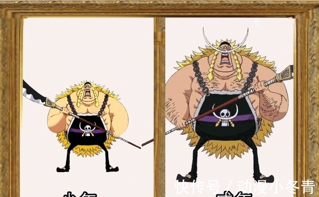 甚平|海贼王:11位七武海少年到成年对比图,克洛克达尔真的是女孩子?