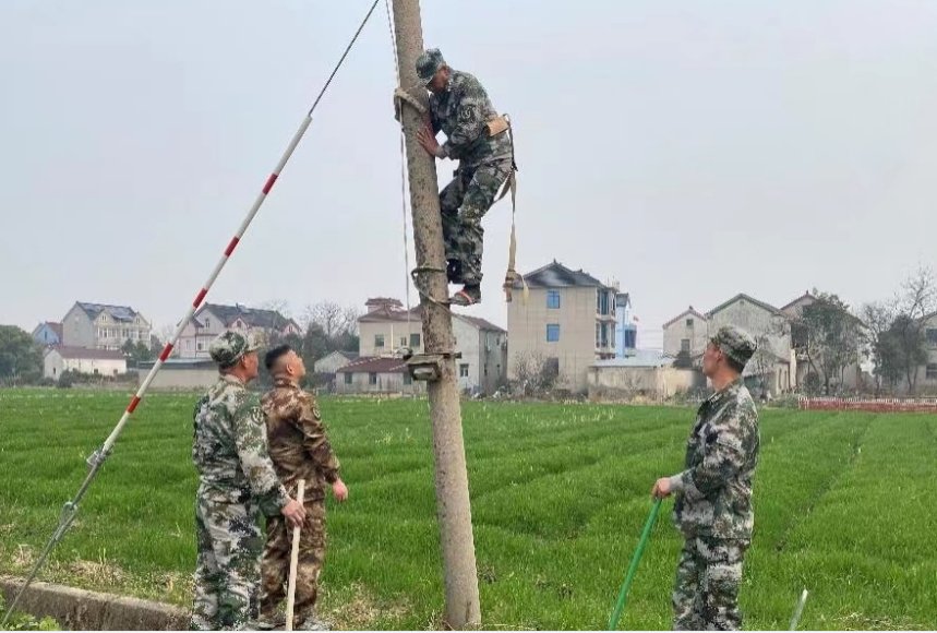 长兴：志愿“三线”整改，促提升城乡风貌