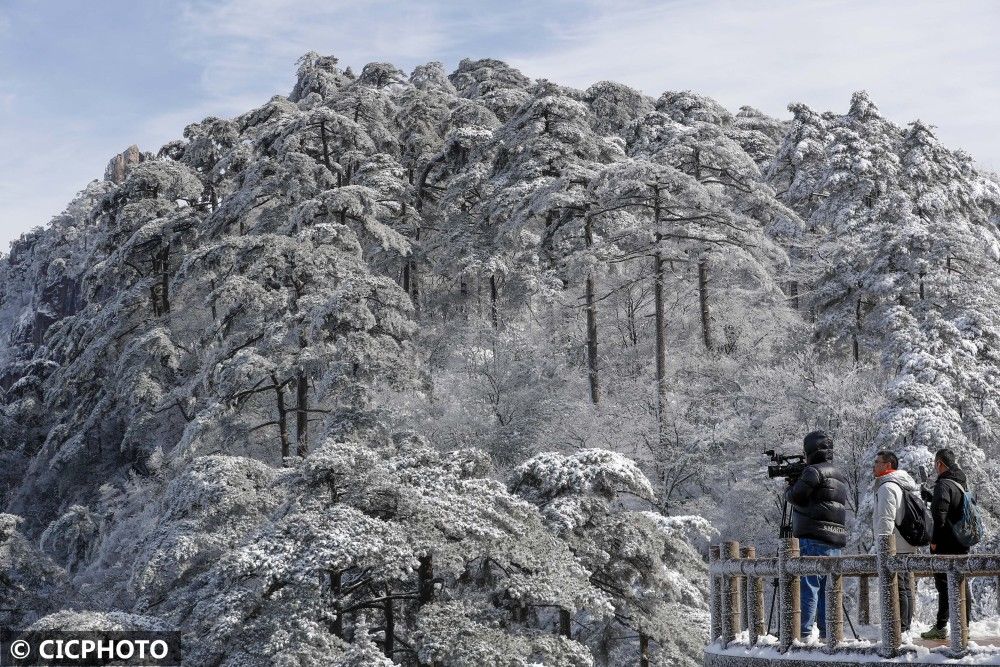 雪景|安徽黄山：小雪节气迎入冬初雪