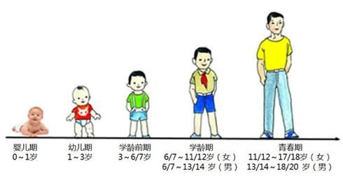 体格|儿童体格生长有哪些规律？