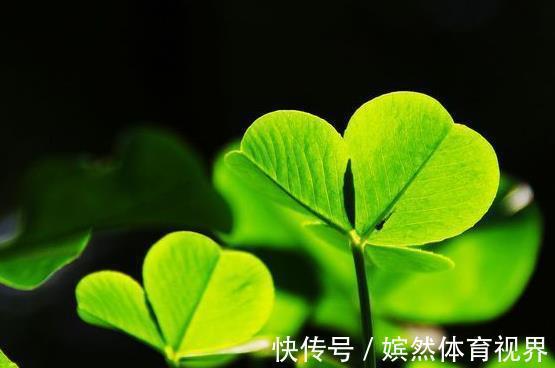 天性|教出了一个“特别懂事”的孩子,往往是父母的失败