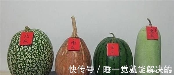 东瓜|冬瓜、西瓜、南瓜，为什么没有北瓜？其实“北瓜”我们早就吃过了