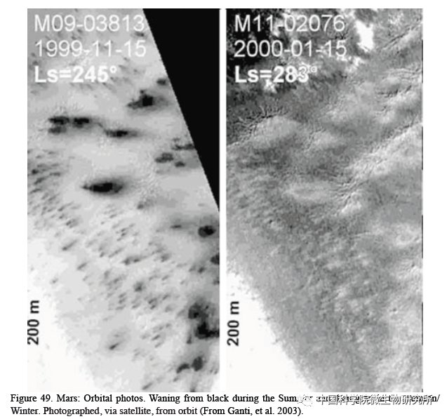 非生物 火星上存在真菌吗？