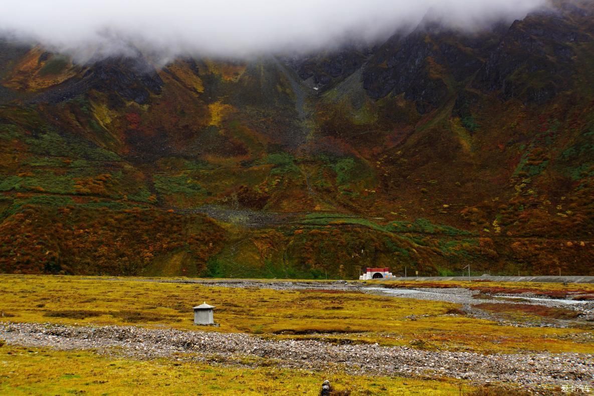 独自自驾游 欣赏最美的岗云杉林 体验环藏之旅的慢生活