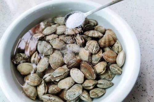 食用盐|夏天吃花甲，教你1个新吃法，不炖不炒，简单易学，家人都说好吃