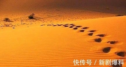 学术$优美的哲学与艰涩的学术