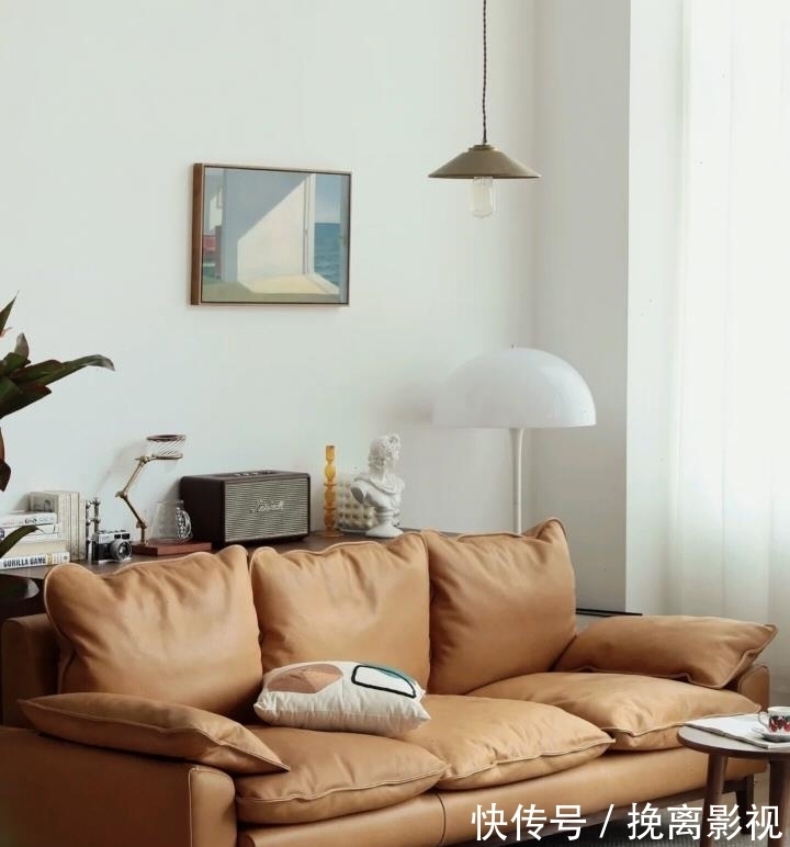 清洁剂|“假精致”的4件家居用品,费钱占空间还糟心,别再盲目跟风了