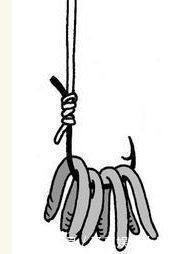 钓鱼|蚯蚓钓鱼效果好，但你挂对了吗，不同挂法效果不同