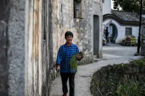 古镇|中国适合老年夫妻的4个古镇，小众清净，粉墙黛瓦，你去过几个？