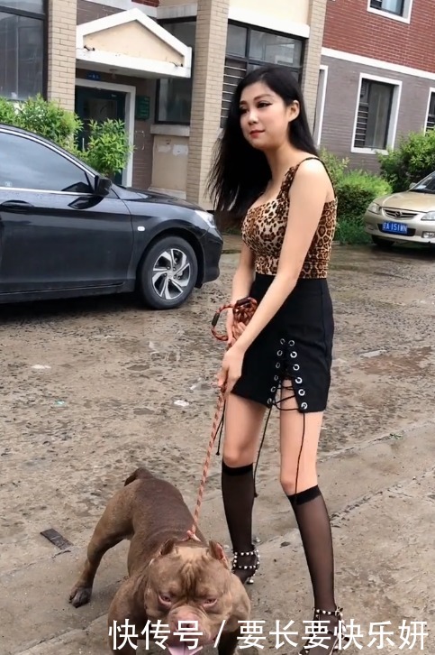 气质|美女你野性的气质跟这条霸气的狗很搭配!