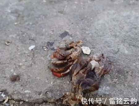 钓鱼|男子海边钓鱼发现奇怪水瓶，打开细看后，大开眼界