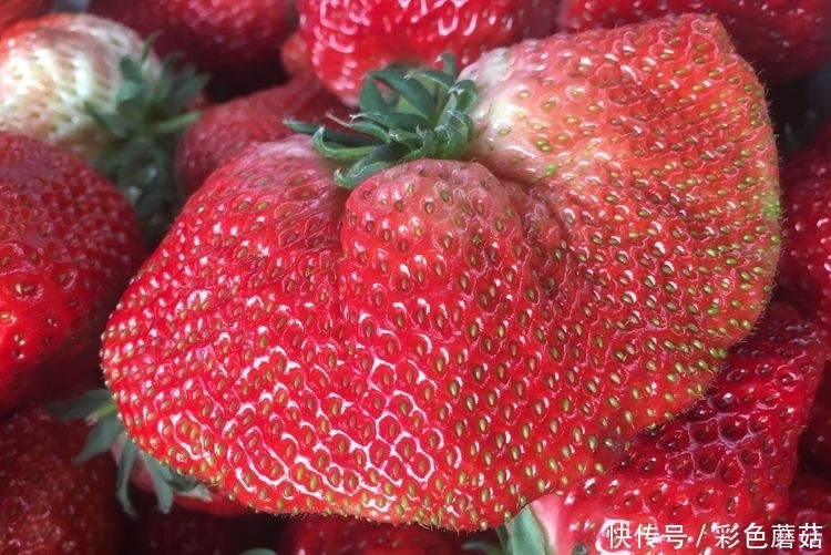 男女不想變老,推薦吃的食物,減肥消脂,美容嫩膚,誰吃誰好