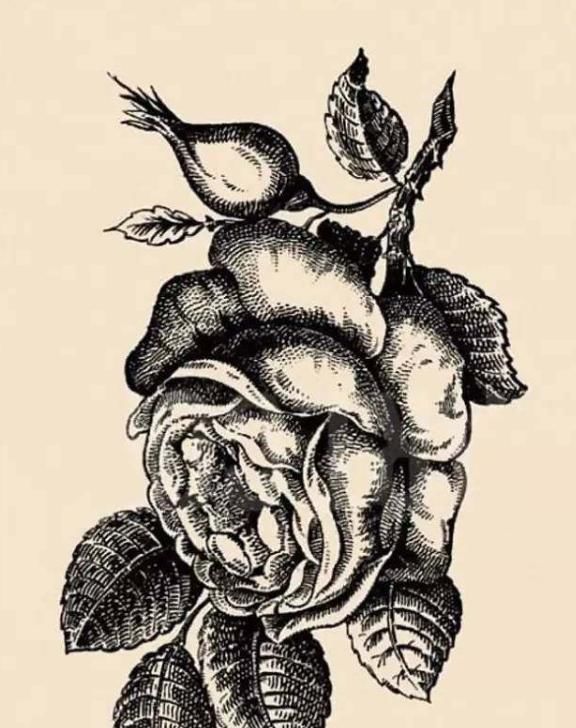 人说|最新老年痴呆测试题花朵中有一张女人的脸,你能在10秒内找到吗