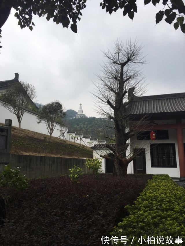 应天寺|从前有座山，山里有座庙，庙里有个老和尚曾是帝王之身