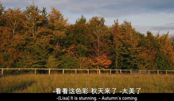 養(yǎng)羊|9.6分，這節(jié)目可把大明星虐爽了