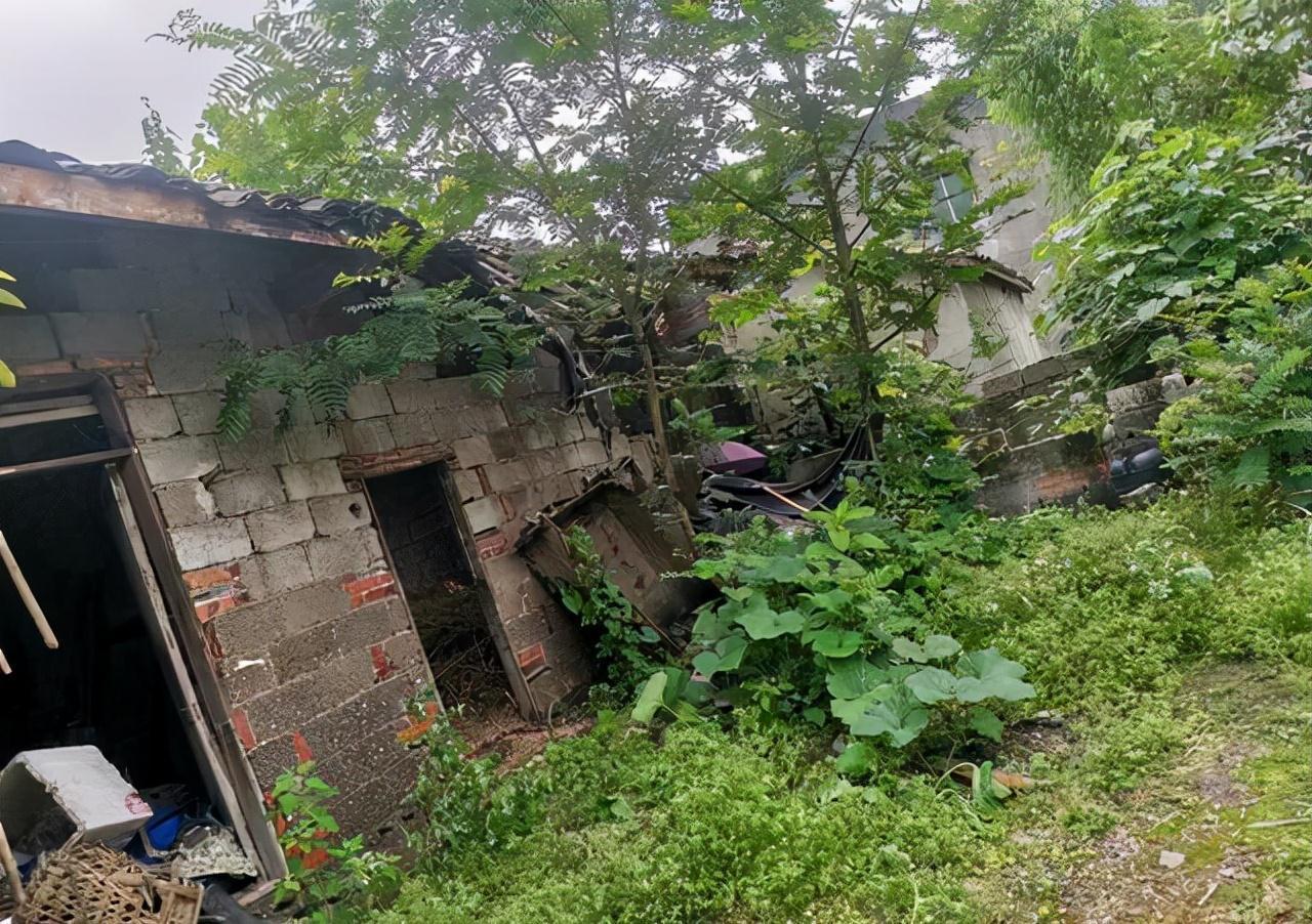 陈亮|四川“最苦”学生高考433分,看到其全家福,网友瞬间泪奔