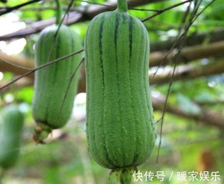 肝炎|不想“肝炎”变“肝癌”4大肝病“克星”,把肝脏“洗干净”