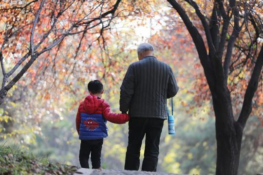 父母|孩子到了这个年龄段,老人就该“撤退了”父母亲自带才最好
