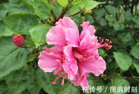 桃花|9月21号开始，财运来临，四通八方，桃花旺盛，牵手幸福