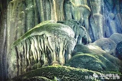 文山州这里有个岩蜂洞,神奇的天然“草药铺”