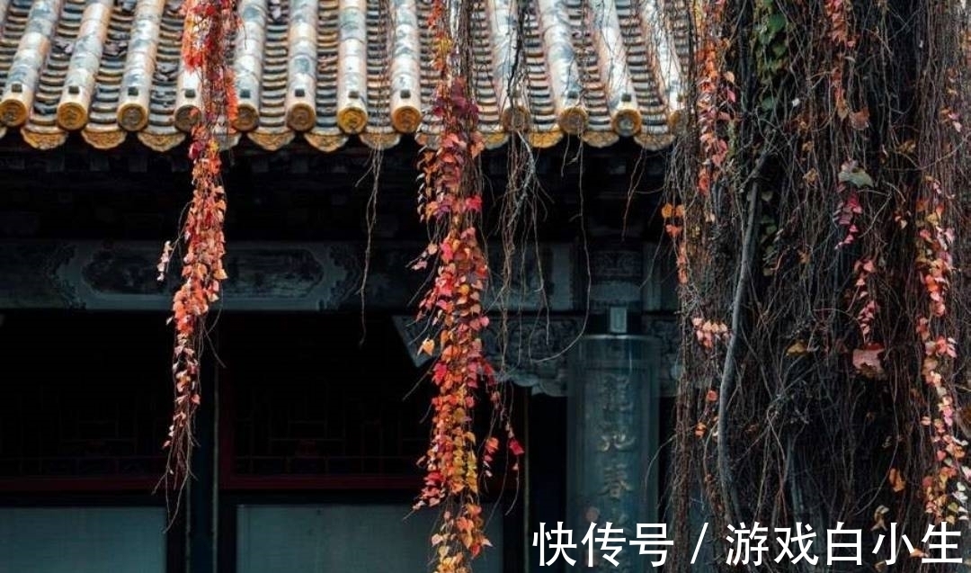 唐玄宗$14句带“笑”字的古诗词,笑容有苦也有甜,句句扣人心弦