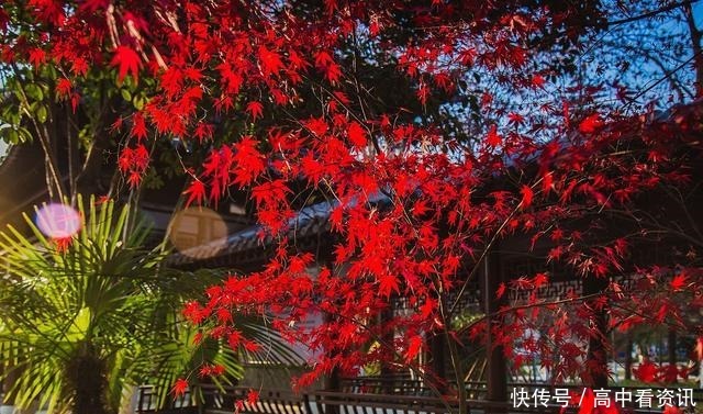 泰戈尔最美的诗句,人世间最美的心情,文学中最美的语言