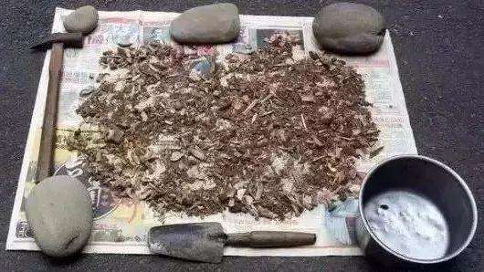 浇花|家里自制养花“肥水”，每半个月给花来一点，浇一浇就长得旺！