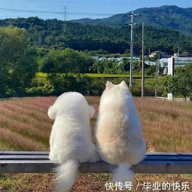 |搞笑图集:你们公司中秋发了啥?网友:发了个通知,说不放假