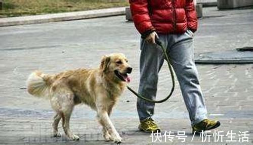 太阳穴|父母再生气,孩子身上这五个地方不能打,专家:可能造成终生隐疾