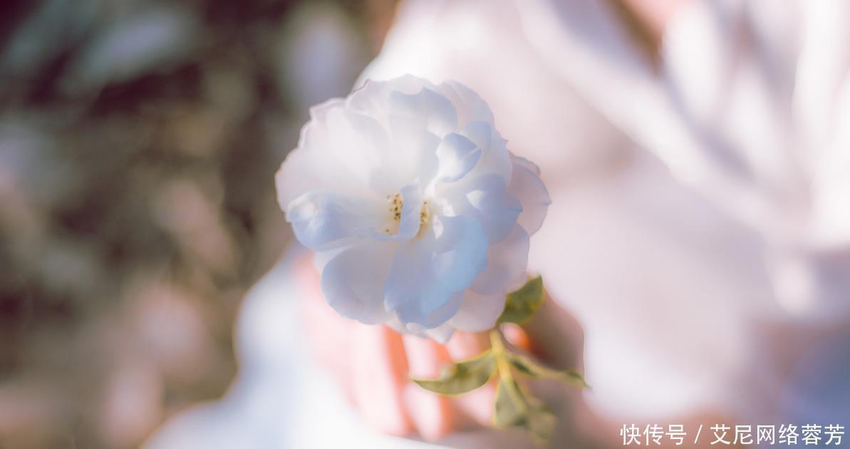 陈子昂&唐朝最孤独的一首诗,只有22个字,千百年来无人超越