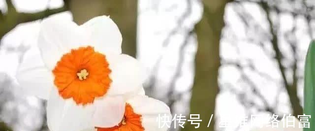 无恒$古今民间谚语大全，老祖宗太智慧了！值得收藏