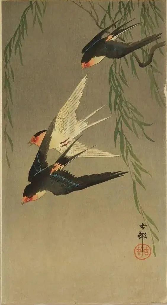 日本绘画大师的花鸟画，淡雅清新
