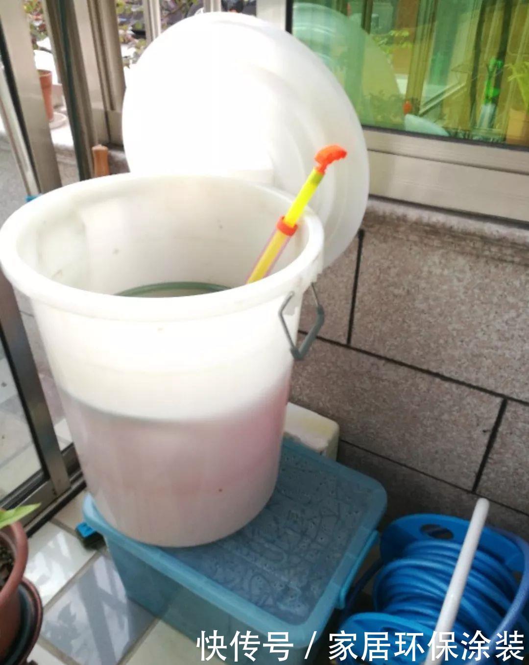 鸡蛋戳个洞,埋盆里1年不用施肥,三角梅疯狂开花