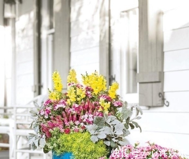 任何容器都能用来做花盆,请收好这30种美丽的花盆搭配设计