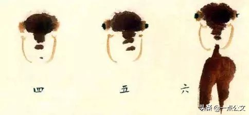 曙红|写意金鱼的画法解析