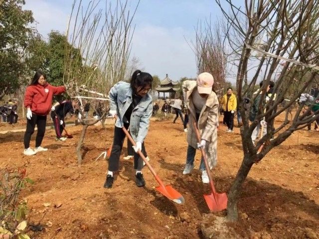 中国矿业大学|这些学校开的课好吃又好玩，网友：我又毕业早了