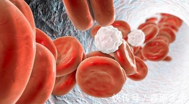 水果|血液粘稠易犯困,3种水果经常吃,助你通血脂,给血管“洗洗澡”