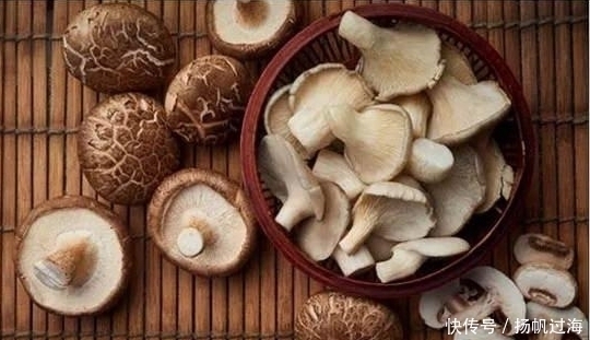 降血压|高血压吃什么食物能降血压?有4种蔬菜,其实是降压“良方”