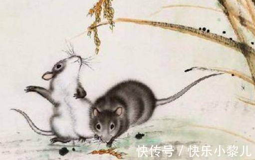 生肖|恭喜你!年前财运一路飙升,3生肖好运八方来,一路顺遂到老