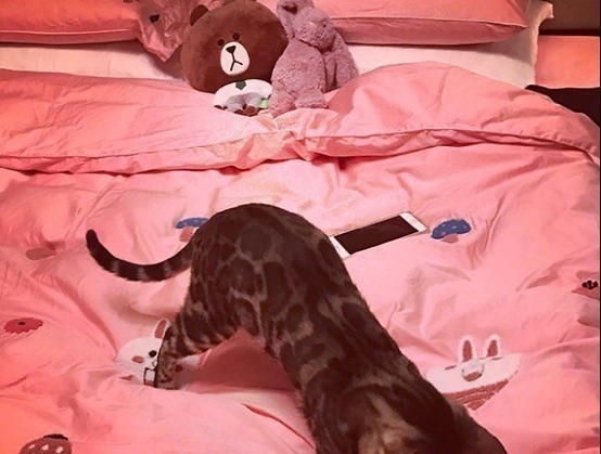 吉克雋逸首次曬出自己的家，家里隨便一張椅子，上面都有繡花雕刻！