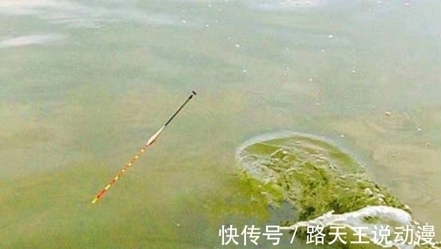 钓浮|热天“对付”草鱼，还纠结钓浮还是钓底？老司机：知道的人不简单