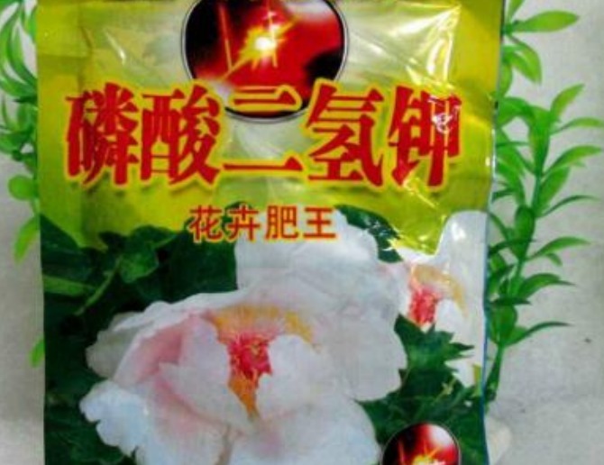 淘米水和黄豆肥别用了,此肥料人称“花卉肥王”,啥花都通用