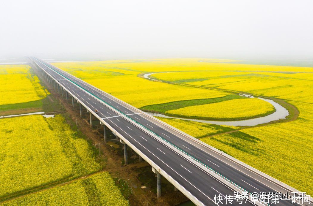 多图直击！阜阳这地方，再次爆红！为啥呢？