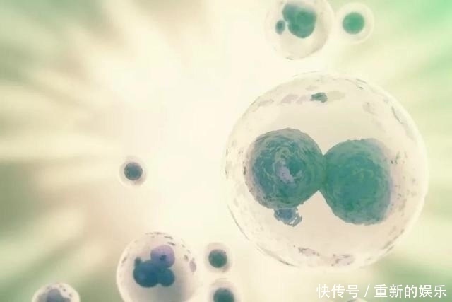 ige|人人逃不开的过敏,竟然还与癌症有关