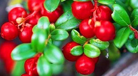 女性不想变老,要常吃3物,美容排毒,延缓衰老,气色更好